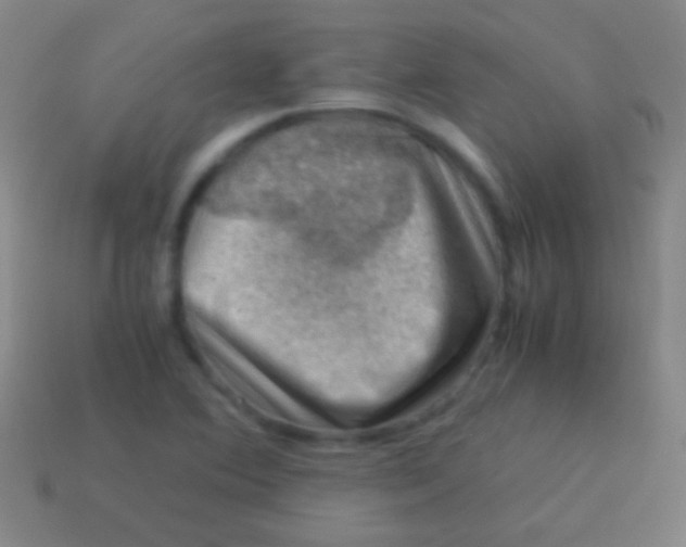 X0000113591364200910161833