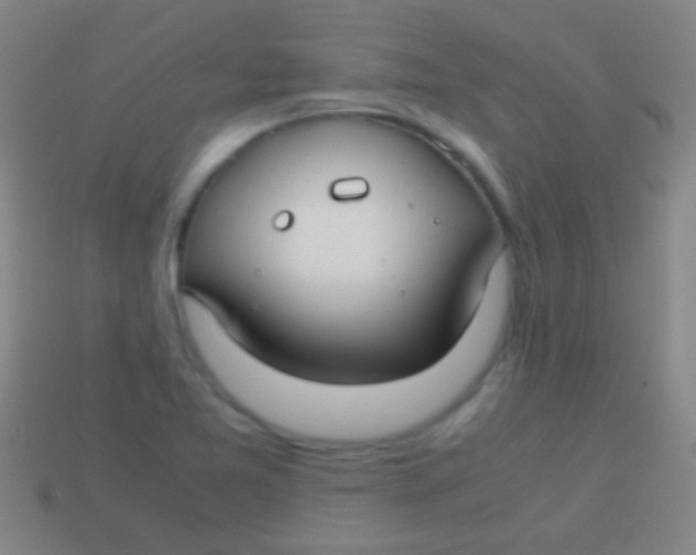 X0000113591365200910161833