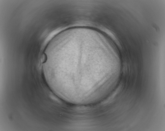 X0000113591366200910161833