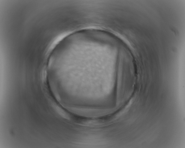 X0000113591367200910161833