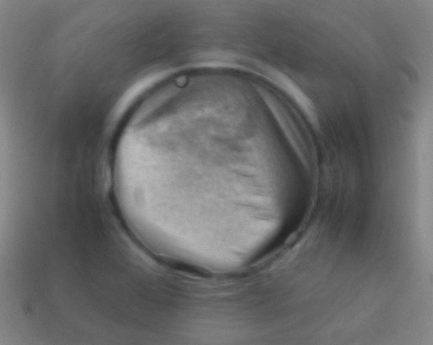 X0000113591368200910161833