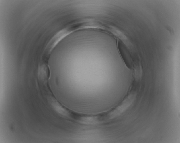 X0000113591369200910161833