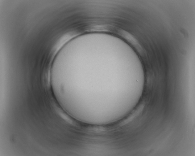 X0000113591370200910161833