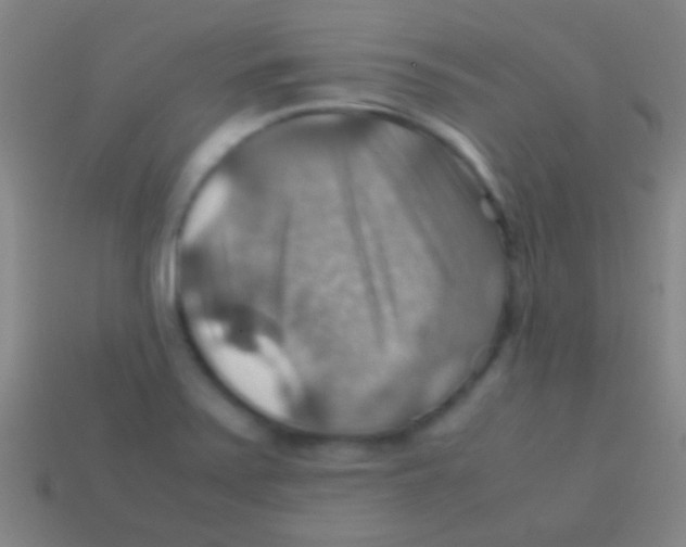 X0000113591371200910161833