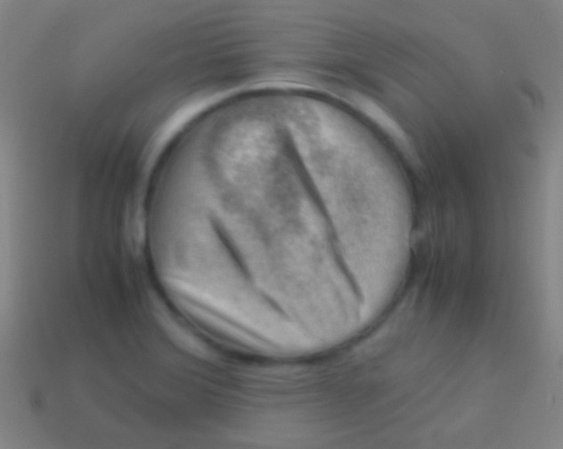 X0000113591372200910161833