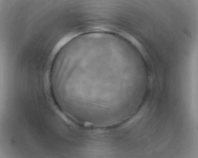 X0000113591373200910161833