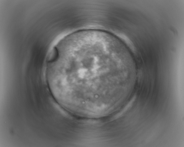 X0000113591374200910161833