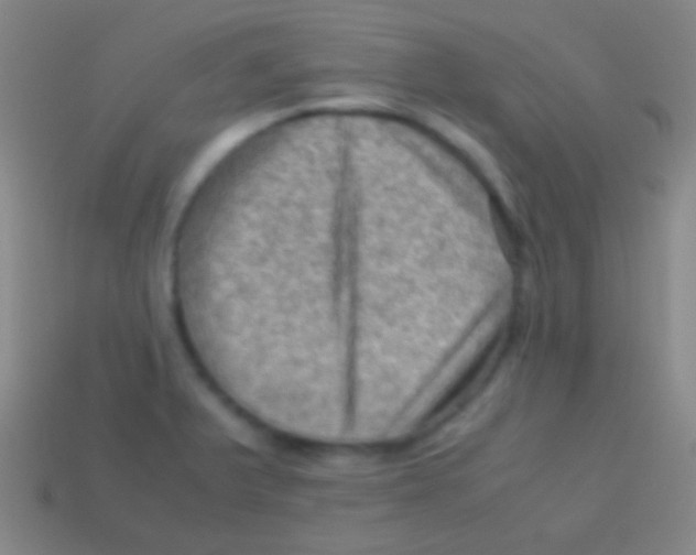 X0000113591375200910161833