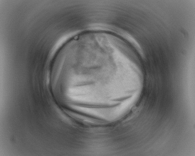 X0000113591376200910161833