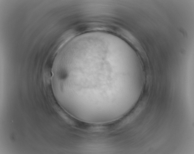 X0000113591377200910161833