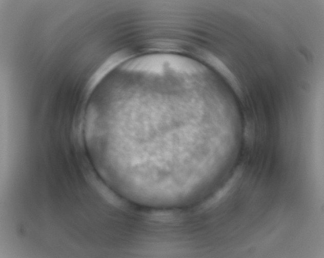 X0000113591378200910161833