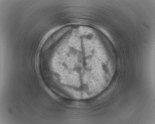 X0000113591379200910161833