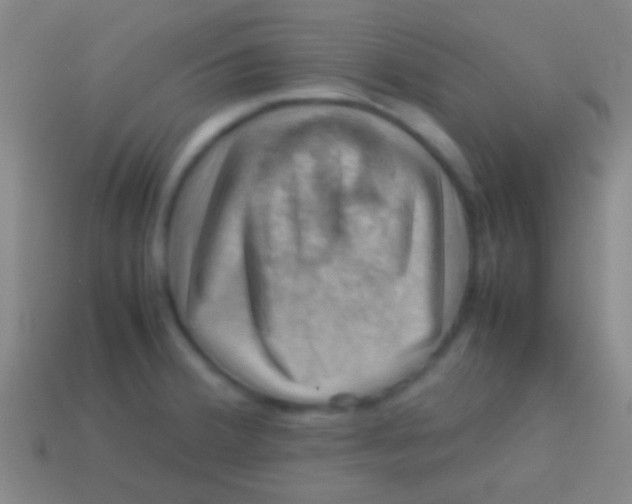 X0000113591380200910161833
