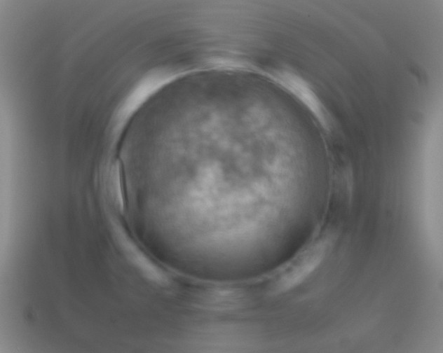X0000113591381200910161833