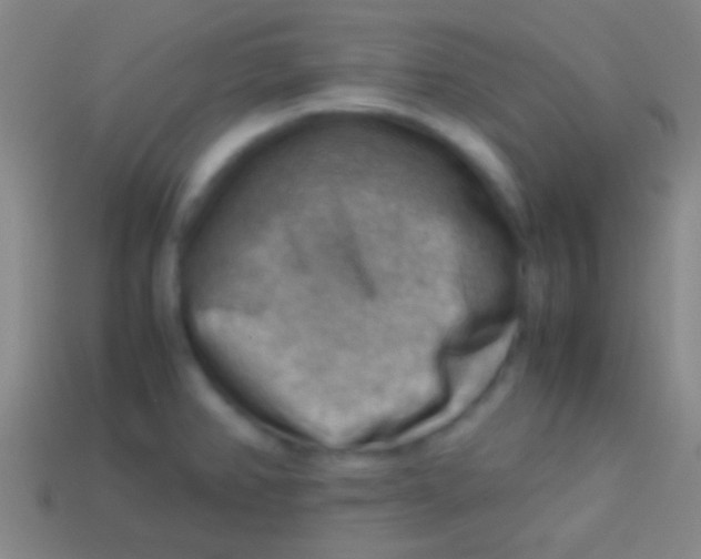 X0000113591382200910161833