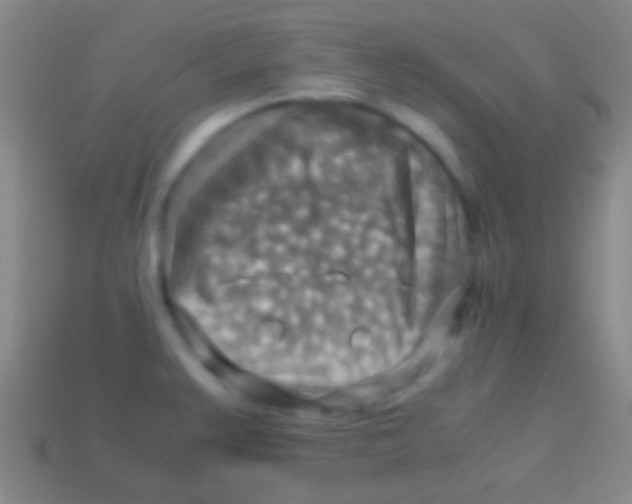 X0000113591383200910161833