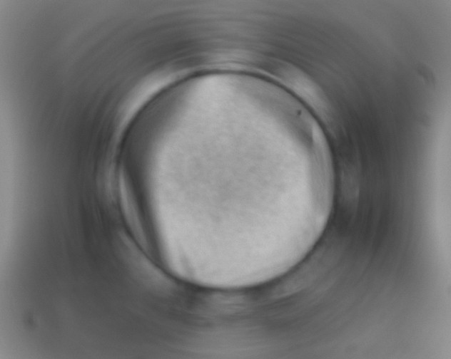 X0000113591384200910161833