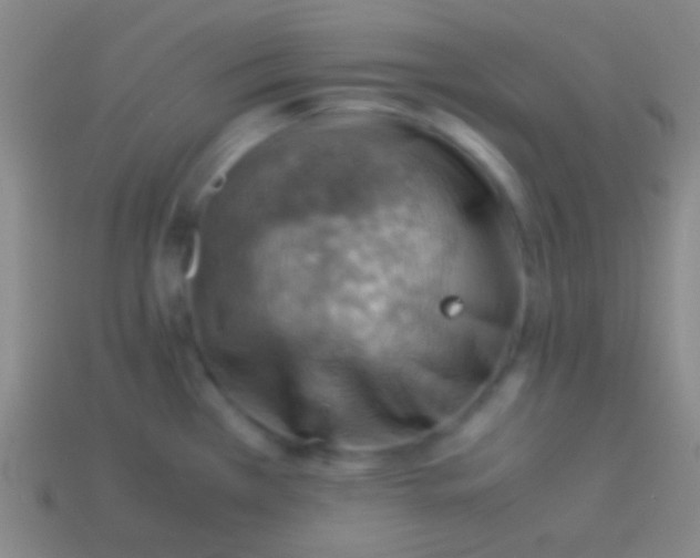 X0000113591385200910161833
