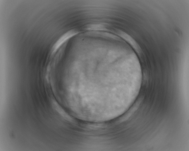 X0000113591386200910161833