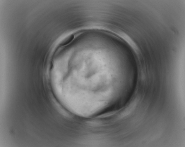 X0000113591388200910161833