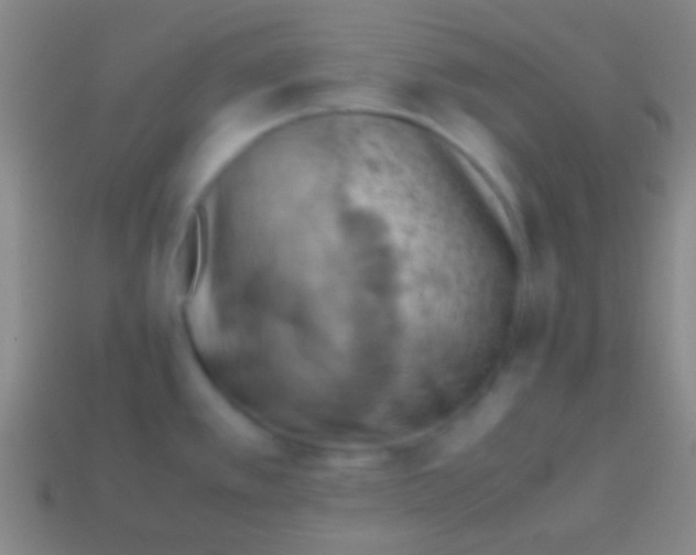 X0000113591389200910161833