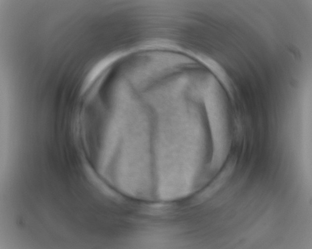 X0000113591390200910161833