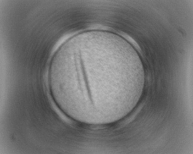 X0000113591391200910161833