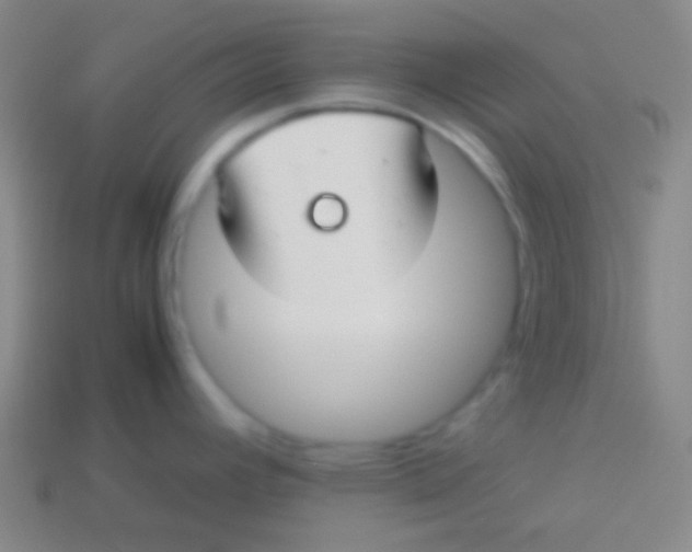 X0000113591392200910161833