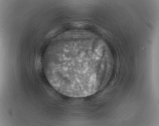 X0000113591394200910161832