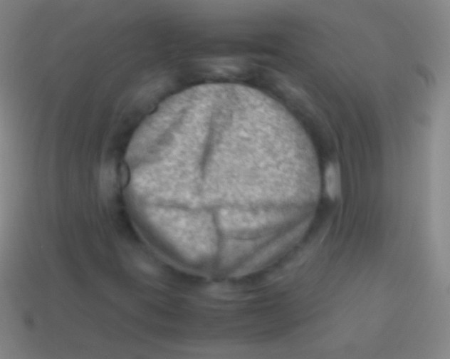X0000113591395200910161832