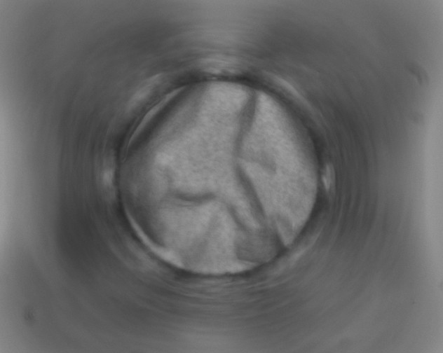 X0000113591396200910161832