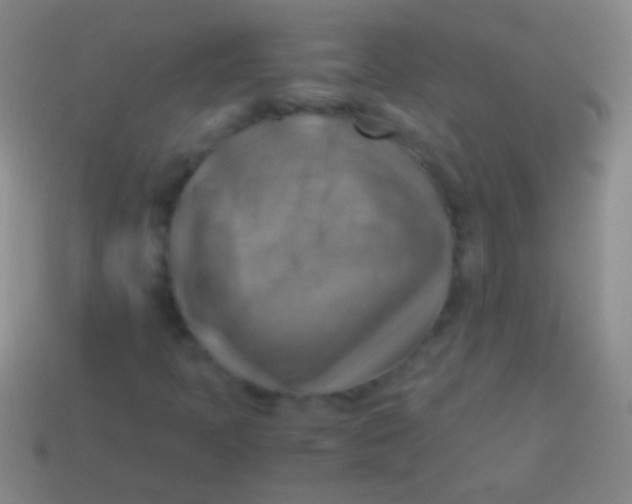X0000113591397200910161832