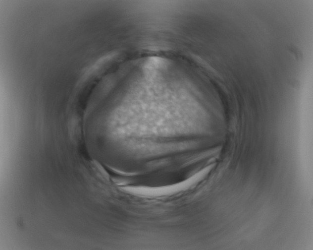 X0000113591398200910161832