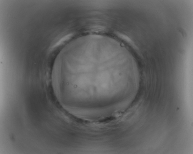 X0000113591399200910161832