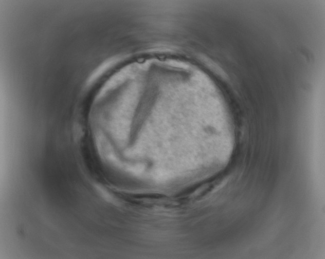 X0000113591400200910161832