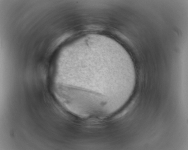 X0000113591401200910161832