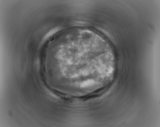 X0000113591402200910161832