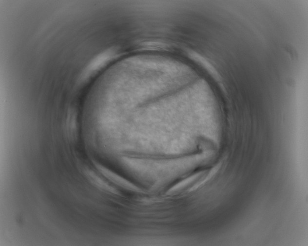 X0000113591403200910161832