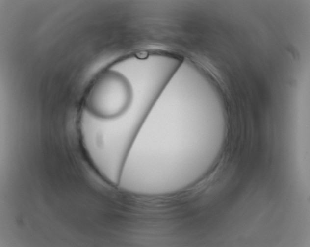 X0000113591404200910161832