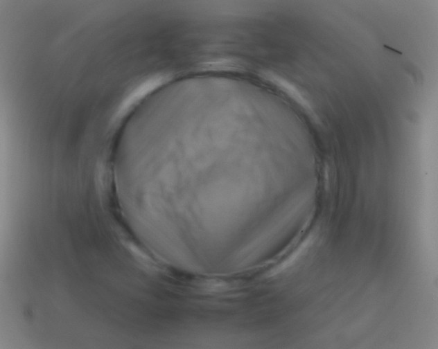 X0000113591405200910161832