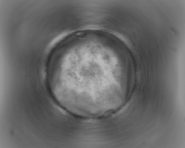 X0000113591406200910161832