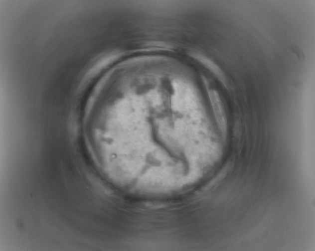 X0000113591407200910161832