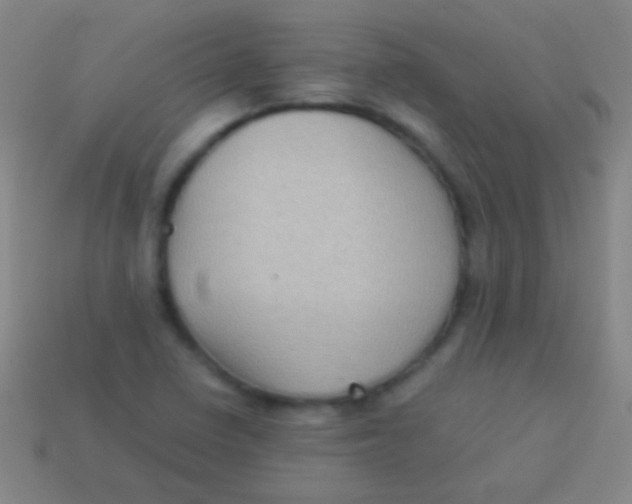 X0000113591410200910161832