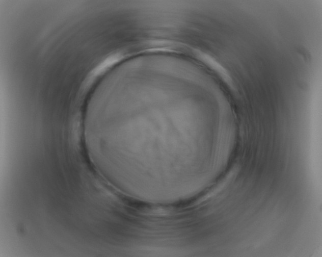X0000113591411200910161832