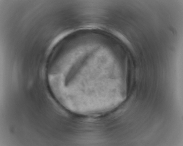 X0000113591412200910161832