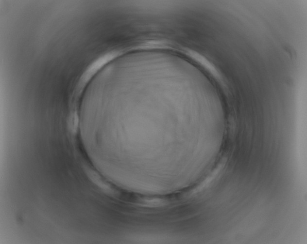 X0000113591413200910161832