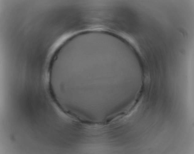 X0000113591414200910161832