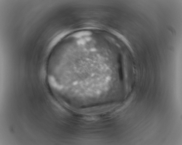 X0000113591415200910161832