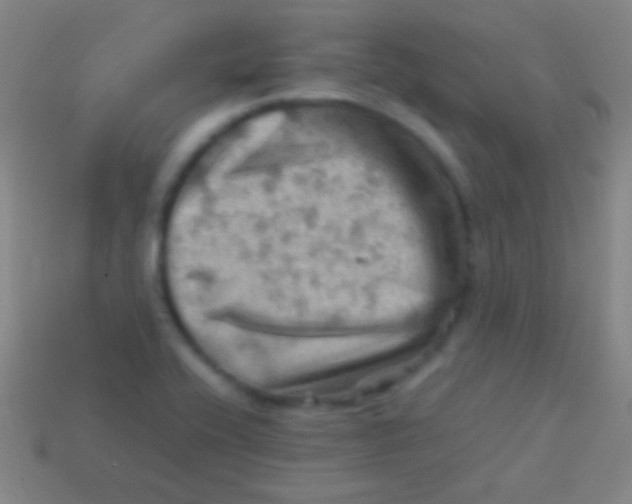 X0000113591416200910161832