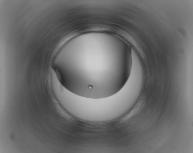 X0000113591417200910161833